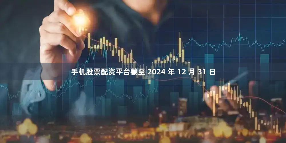 手机股票配资平台截至 2024 年 12 月 31 日