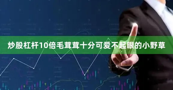 炒股杠杆10倍毛茸茸十分可爱不起眼的小野草