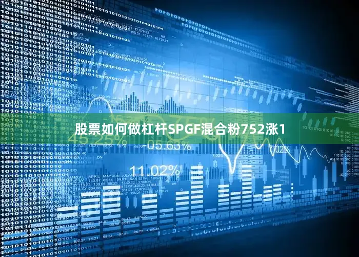 股票如何做杠杆SPGF混合粉752涨1